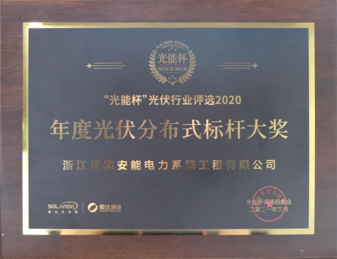 2020年度光伏漫衍式标杆大奖