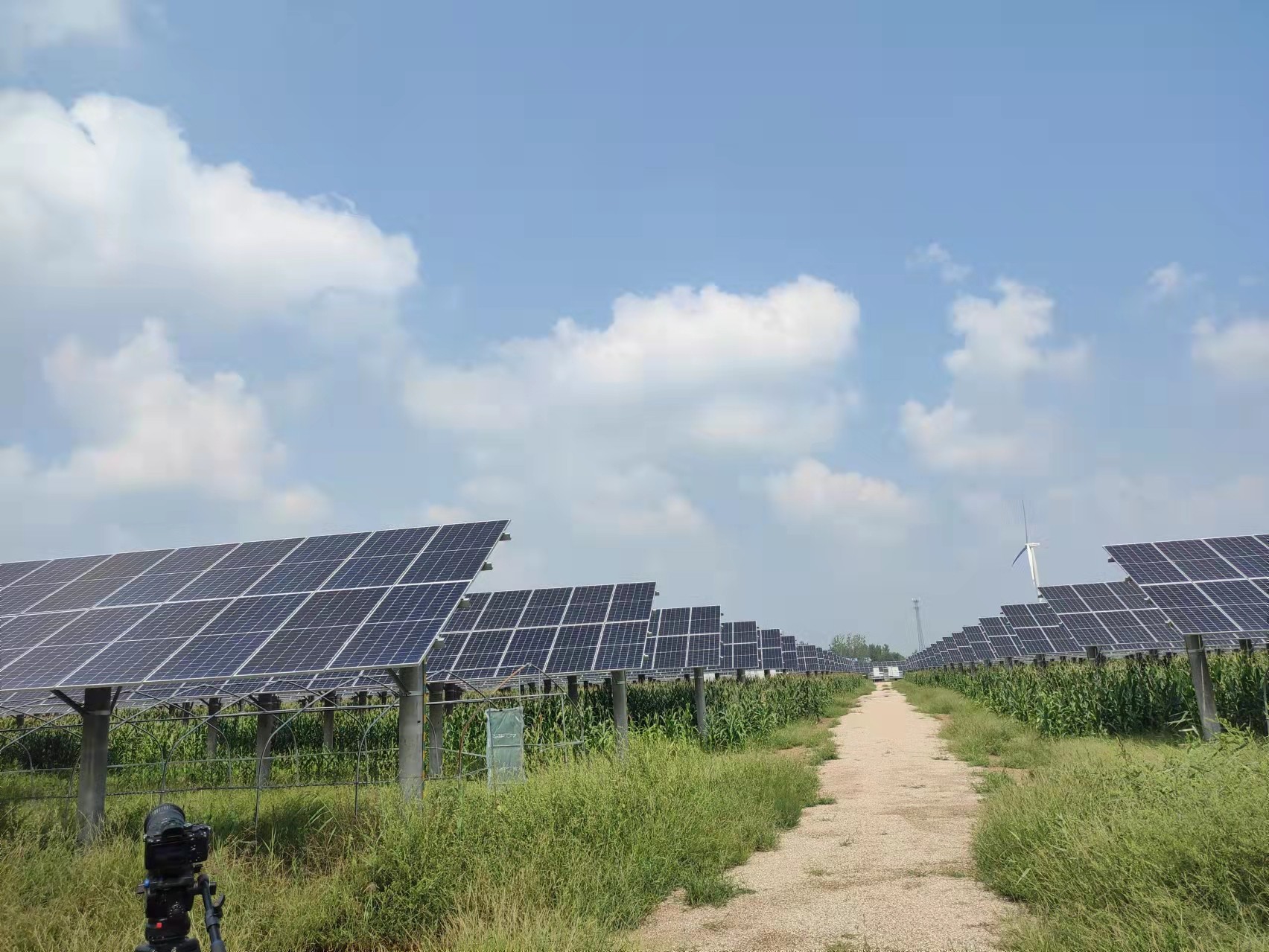 ��ҳ|CA88��Ϸ�ٷ���վ