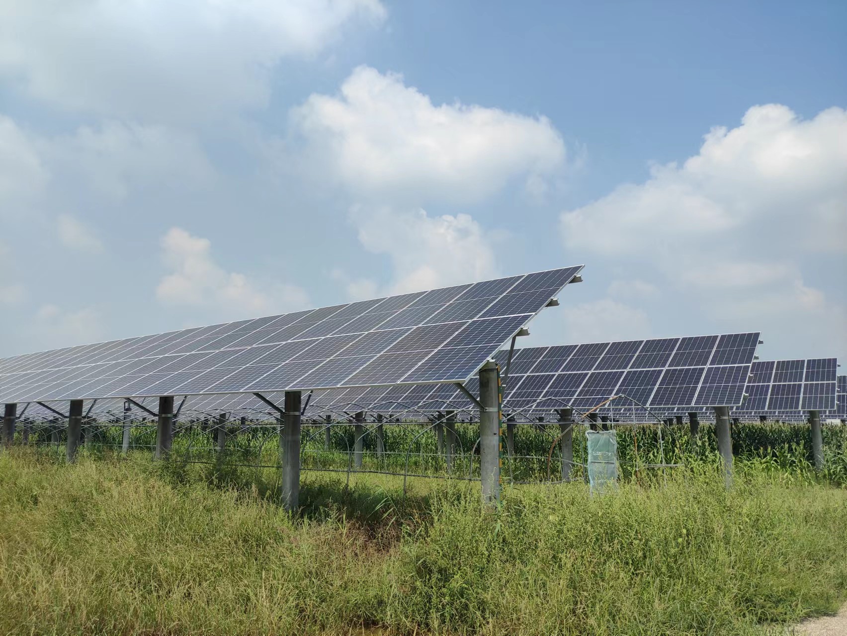 ��ҳ|CA88��Ϸ�ٷ���վ